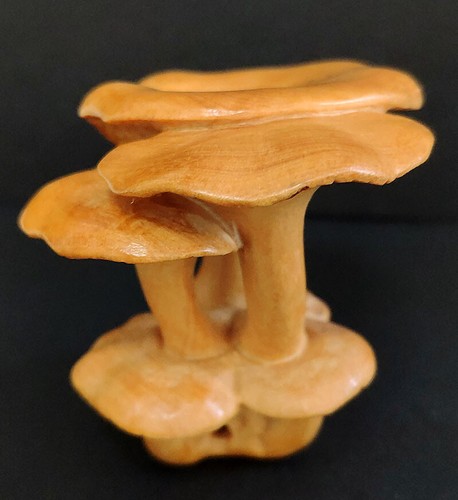 Collection art Chinese wood Boxwood Netsuke - Beautiful Mushroom hand piece gift