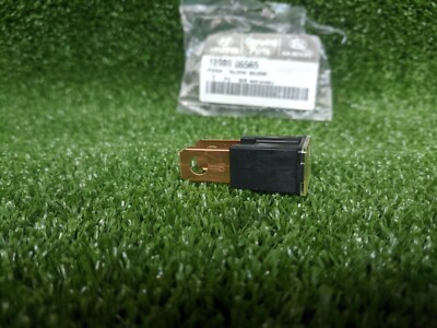 Hyundai-kia Genuine OEM Slow Blow Fuse (80 Amps) 1898006565 for 