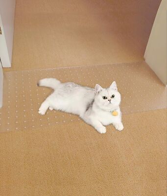 Carpet Protector for Pets Cat Scratching Pads for Doorway Anti Scratch Under ...