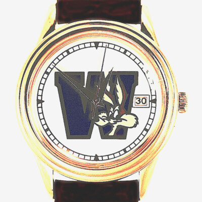 New Wile E Coyote Fossil With Date Easy Read Dial, Warner Bros Unworn Watch! $65