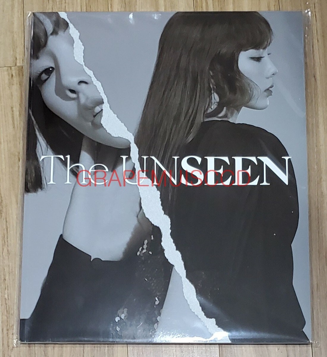 TAEYEON Concert - The UNSEEN OFFICIAL GOODS CONCERT BROCHURE