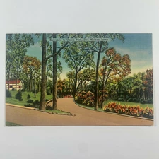 Postcard Iowa Des Moines IA Union Park Entrance 1940s Linen Unposted