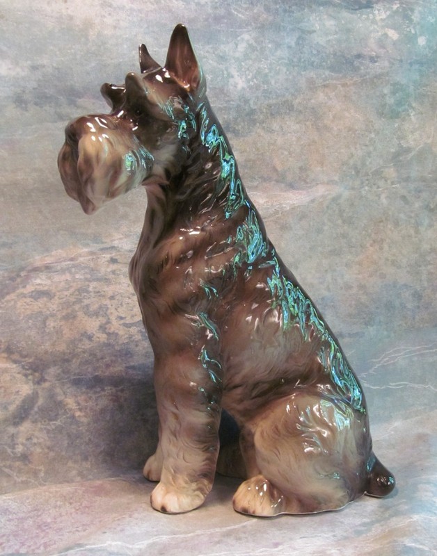 GORGEOUS HUGE SHAFFORD KENNEL CLUB SCHNAUZER NO DAMAGE STAMPED & LABEL