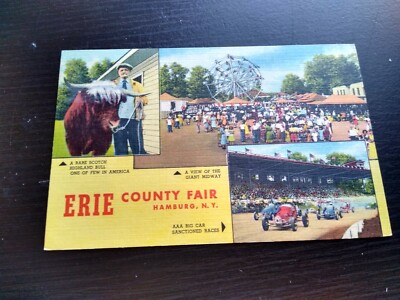 Vintage Erie County Fair, Hamburg New York Photo Postcard | eBay