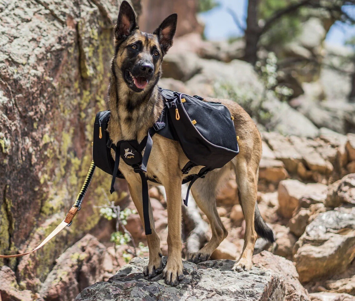 OllyDog Trekker Harness Backpack Saddlebag ***LARGE Measure 3038in at