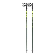 Leki Detect S Downhill Ski Poles 2025