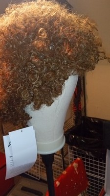 ASHRO Katrina 100% Human Hair Wig Kinky Curly Brown Frost Average Size NWT