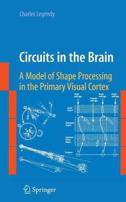 Circuits in the Brain A Model of Shape Processing in the Primary Visual Cortex