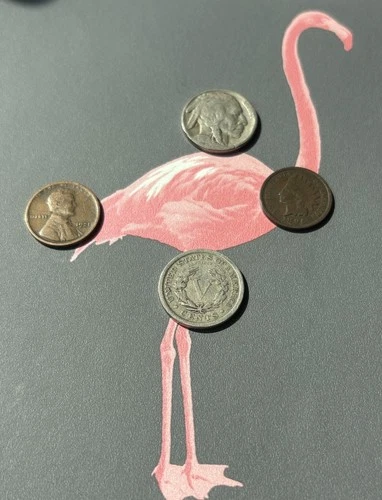 U.S. Coin Lot! Indian Head Cent Wheat Penny Liberty V & Buffalo Nickel. FREE S&H