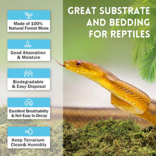 7 OZ Premium Sphagnum Moss for Reptiles- 10QT Natural Live Moss Reptile Moss ...