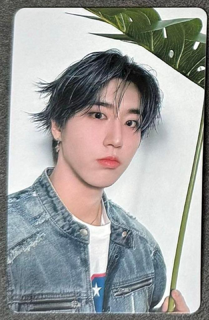 Stray Kids PHOTO CARD レアカード HAN dominATE Stray Kids HAN World Tour 