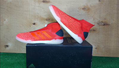 predator tango 19
