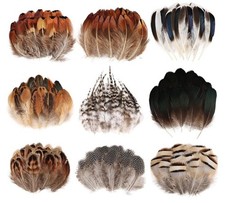 270pcs 9 Styles Natural Bulk Feathers Assorted Mixed Feathers for DIY...