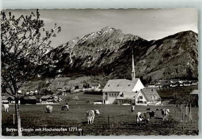 39445359 - 8232 Bavarian Gmain cattle pasture Hochstaufen