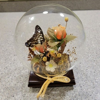 Butterfly In Glass Dome With Wood Base And Dried Flower Detail