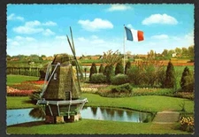 Holland Land of Flowers and Windmills Chrome Postcard 1644