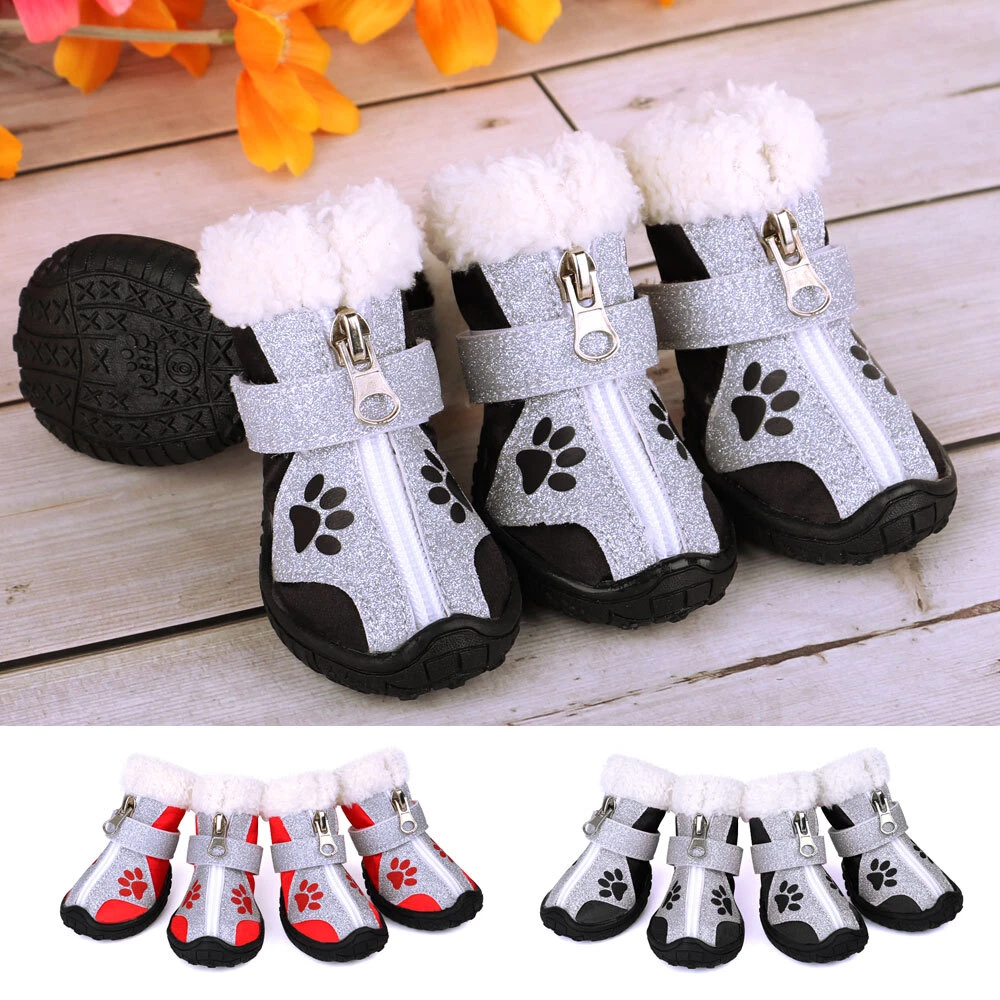 Cute dog shoes sale