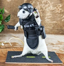 SWAT Rat Display Taxidermy Oddities Curiosities Police Cops collectible gift