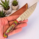 Hunting Skinner Knives | Damascus Steel | Premium Pakka Wood Handle | D135a — photo 4