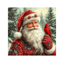 Diamond Art Kits Adults, Santa Claus Diamond Painting Kits 30 30cm Full Drill Di