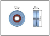 Caffaro 500119 Spannrolle, Keilrippenriemen FüR Chrysler,Jeep