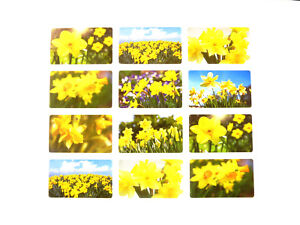 Daffodil ENVELOPPE SCEAU Étiquettes Décoratif Fleur Floral Stickers-Jonquille 50301