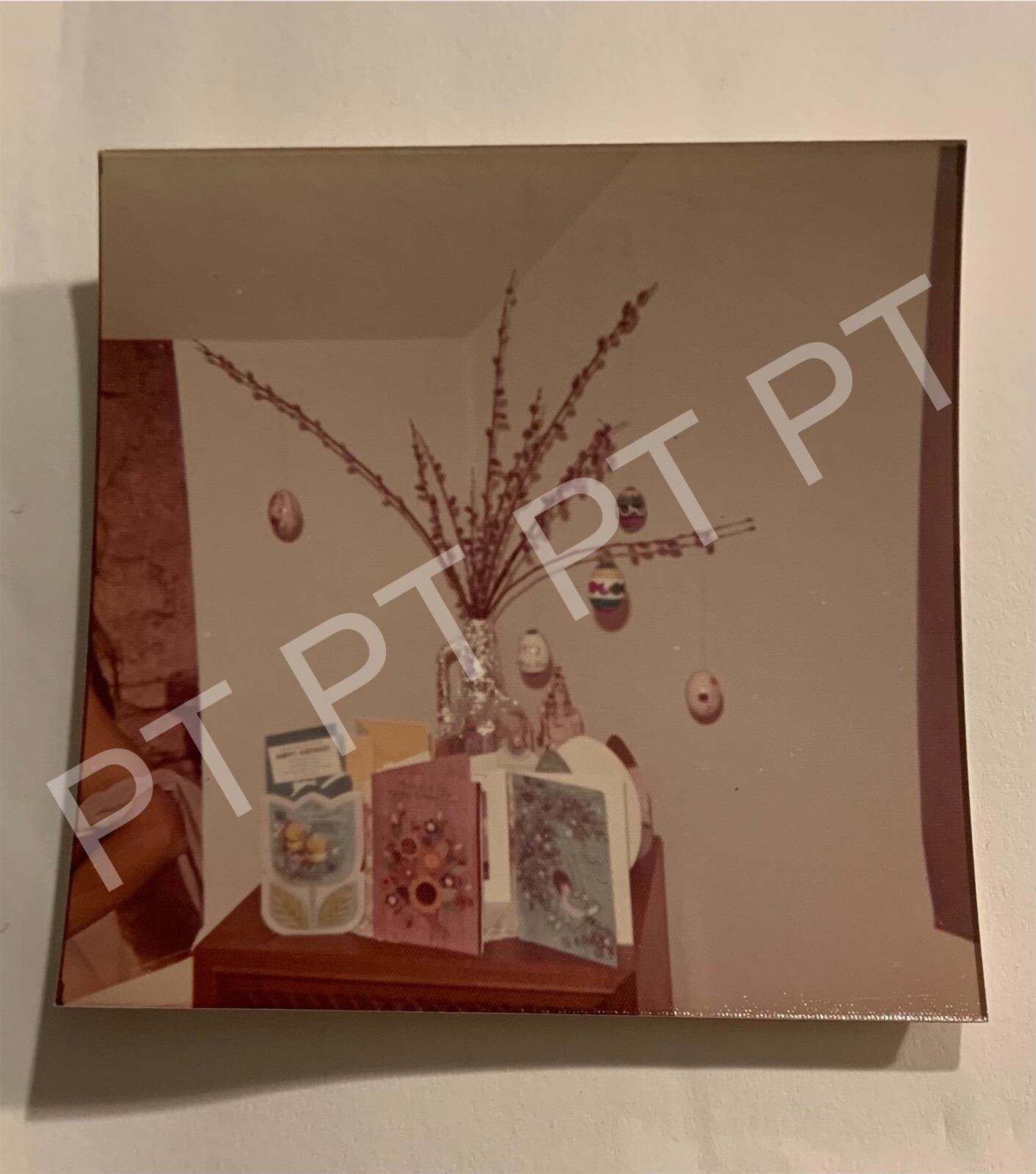 Picture 4 of 5