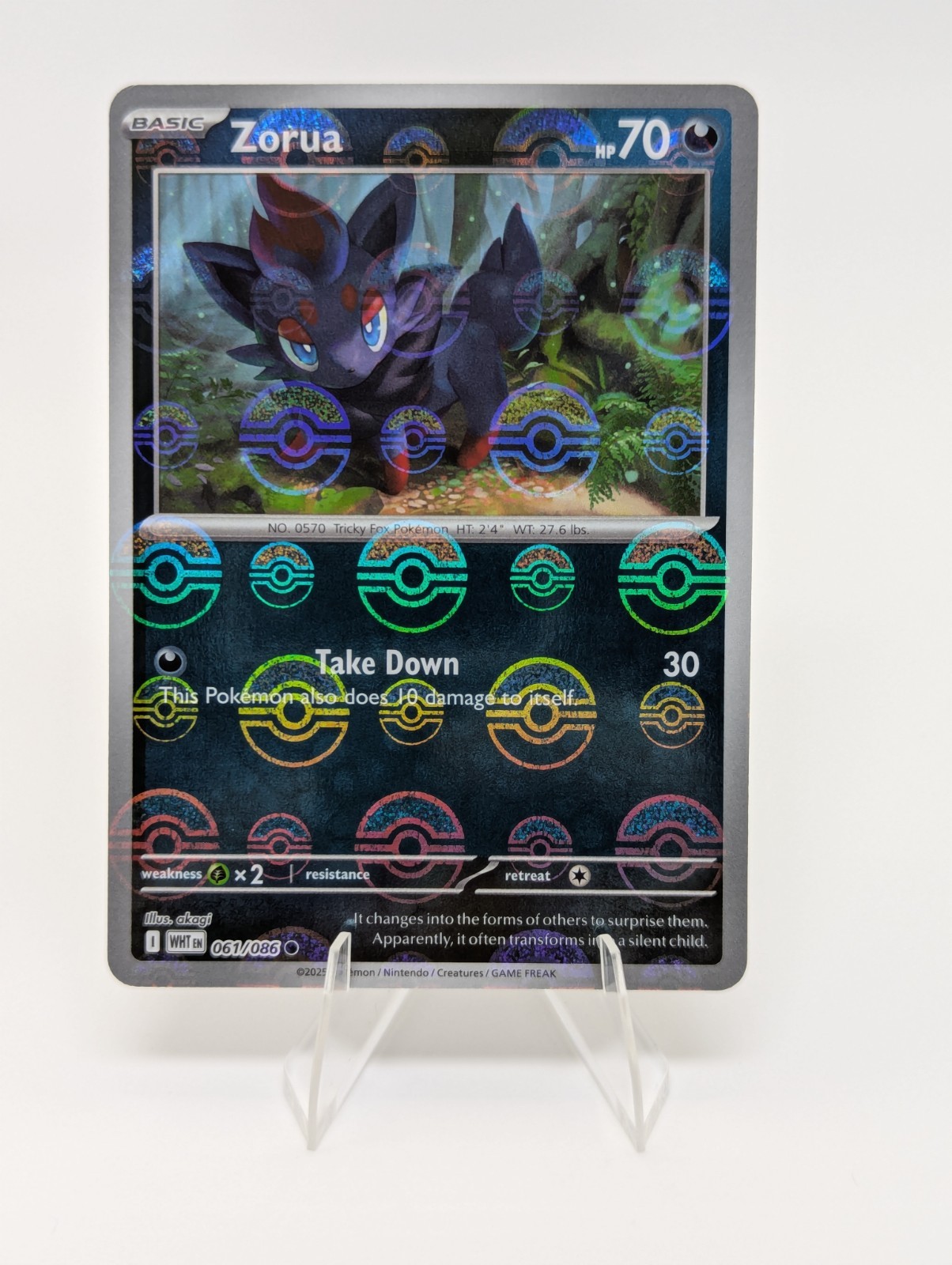 pokemon shiny treasure ex cards Pokemon Card Game Shiny Treasure ex Box Scarlet & Violet High Class Pa