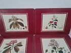 6 Pimpernel table mats & Coasters six Royal Horticultural Society Flora Japonica