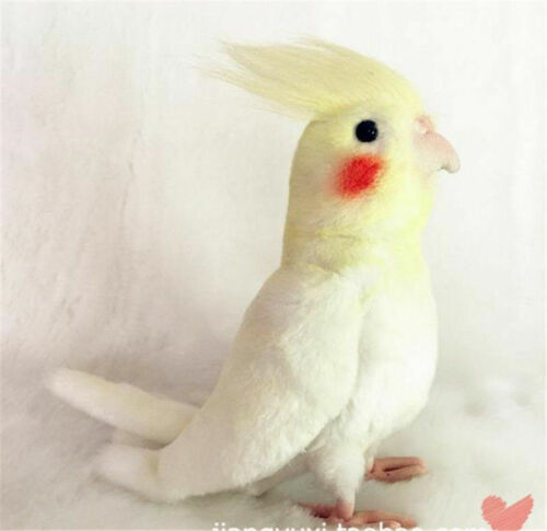 Simulation Bird Cockatiel Parrot Doll Bird Stuffed Animal Plush Toy Kids Gift - Picture 12 of 14