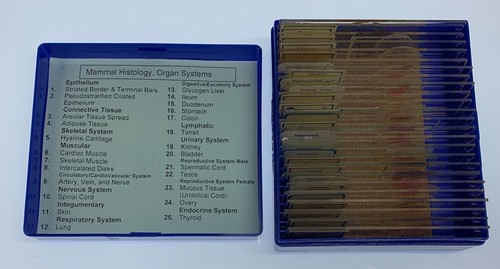MAMMAL HISTOLOGY Microscope Slides set ORGAN SYSTEMS Carolina Biological Supply - Picture 1 of 7