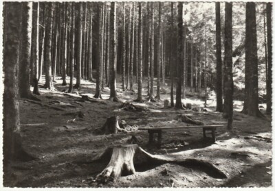 LORENZAGO DI CADORE - BELLUNO - DREAM PARK - TRAVEL 1959 -4641-