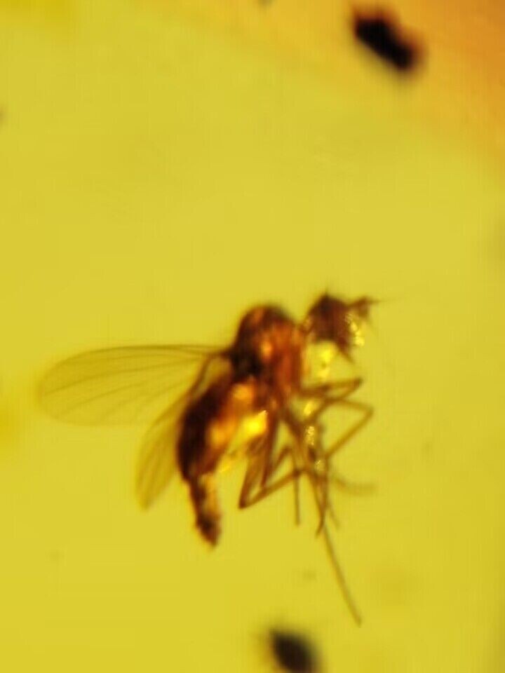 Picture 7 of 8