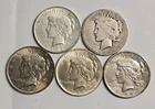 5 Peace Silver Dollars - Lot SK53