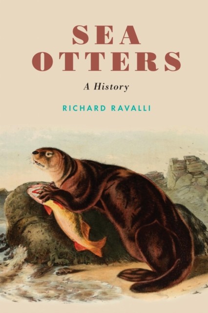 Sea Otters by Richard Ravalli HARDBACK 9780803284401