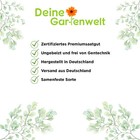 Bild 4 von 5