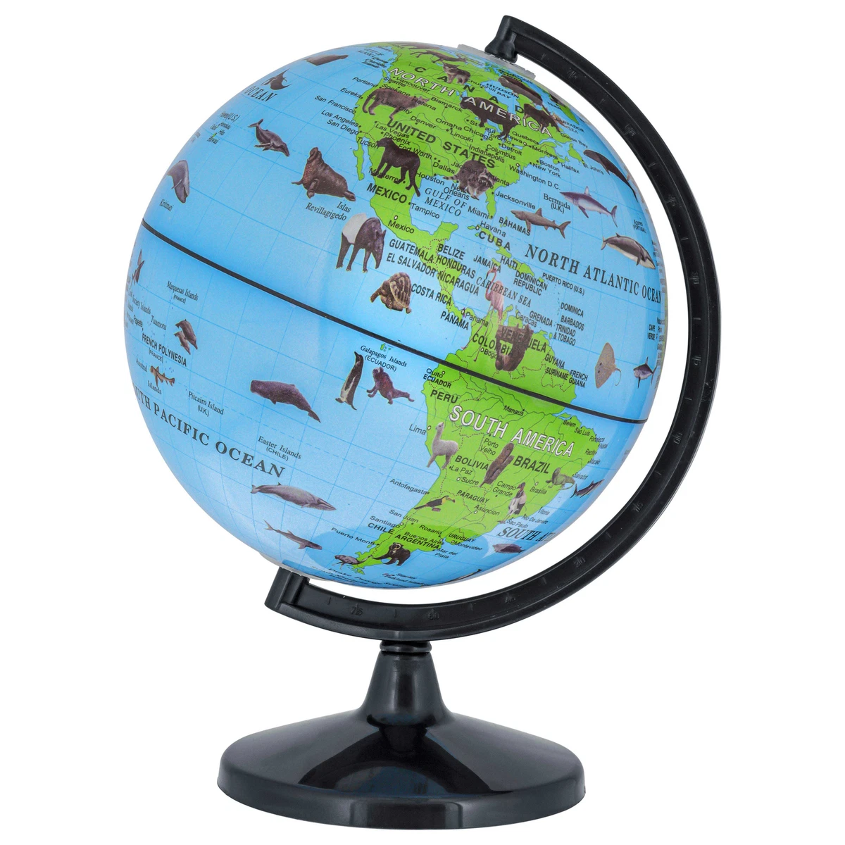 TCP Global 6