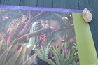 Picture 5 of 20