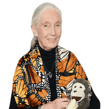 Jane Goodall (Monkey) Half Body Buddy Cutout