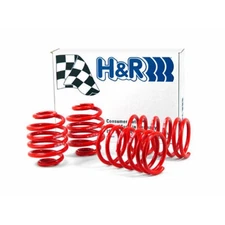 H&R For BMW 318i/318is E30 1991 Race Spring (Non Cabrio)
