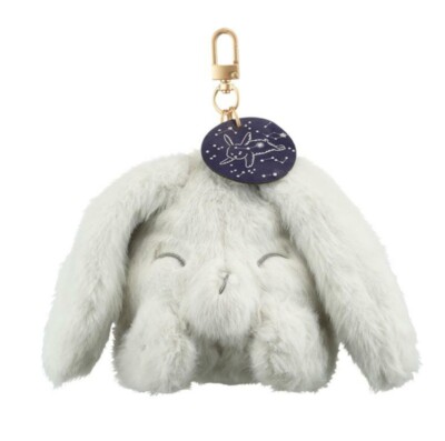 Starbucks korea 2021 21 Autumn bunny pouch key chain | eBay