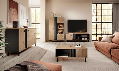 Wohnzimmerset Wohnwand Möbelset Madi Artisan Anthrazit Loft Skandinavisch 13