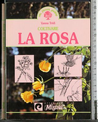 ROSE ANBAUEN. VANNA TRIDI. MISTRAL.