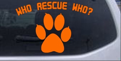 Who Rescue Who Car or Truck Window Laptop Decal Sticker - Bild 15 von 32