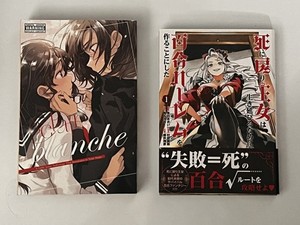 Doujin / Doujinshi Manga Lot of 2 - Yuri, Mixed Language, R18, Lot B