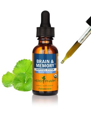 1 Fl Oz (Pack of 1), Herb Pharm Brain and Memory Liquid Herbal Formula With...