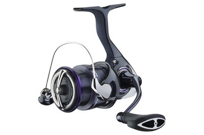 DAIWA 25 Prorex V LT3000-C by TACKLE-DEALS !!!
