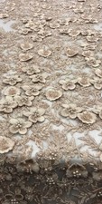 3D Floral Lace Fabric Champagne Beaded Embroidered Mesh Bridal Couture