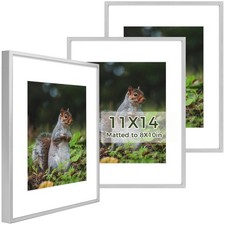 Golden State Art 11x14 Picture Frame 3 Pack - Aluminum Frames with 8x10 Removabl