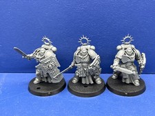 3 Primaris Bladeguard Veterans der Space Mari...